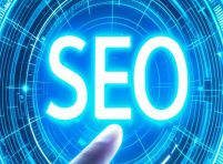 SEO Services Provider